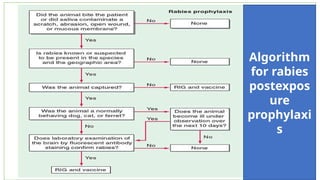 Algorithm For Rabies POST EXPOSURE PROPHYLAXIS OF HEPATITIS B,RABIES MADHURIKA.pptx