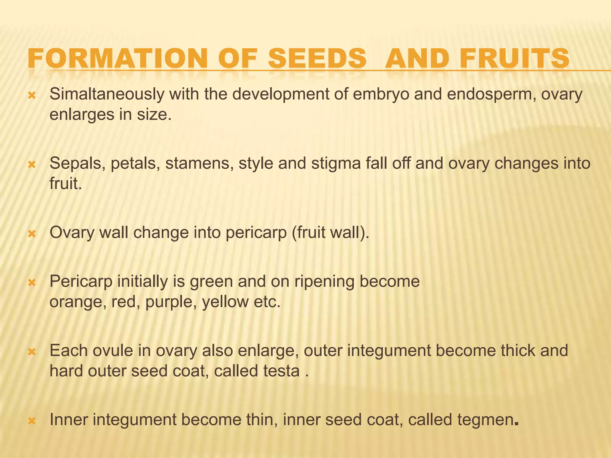 FORMATION OF SEEDS AND FRUITS


Simaltaneously with the development of embryo and endosperm, ovary
enlarges in size.



Sepals, petals, stamens, style and stigma fall off and ovary changes into
fruit.



Ovary wall change into pericarp (fruit wall).



Pericarp initially is green and on ripening become
orange, red, purple, yellow etc.



Each ovule in ovary also enlarge, outer integument become thick and
hard outer seed coat, called testa .



Inner integument become thin, inner seed coat, called tegmen.

 