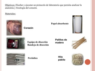 Objetivos: Diseñar y ejecutar un protocolo de laboratorio que permita analizar la
anatomía y fisiología del corazón.
Materiales:
Corazón
Equipo de disección
Bandeja de disección
Periódico
Papel absorbente
Palillos de
madera
Hilo
pabilo
 