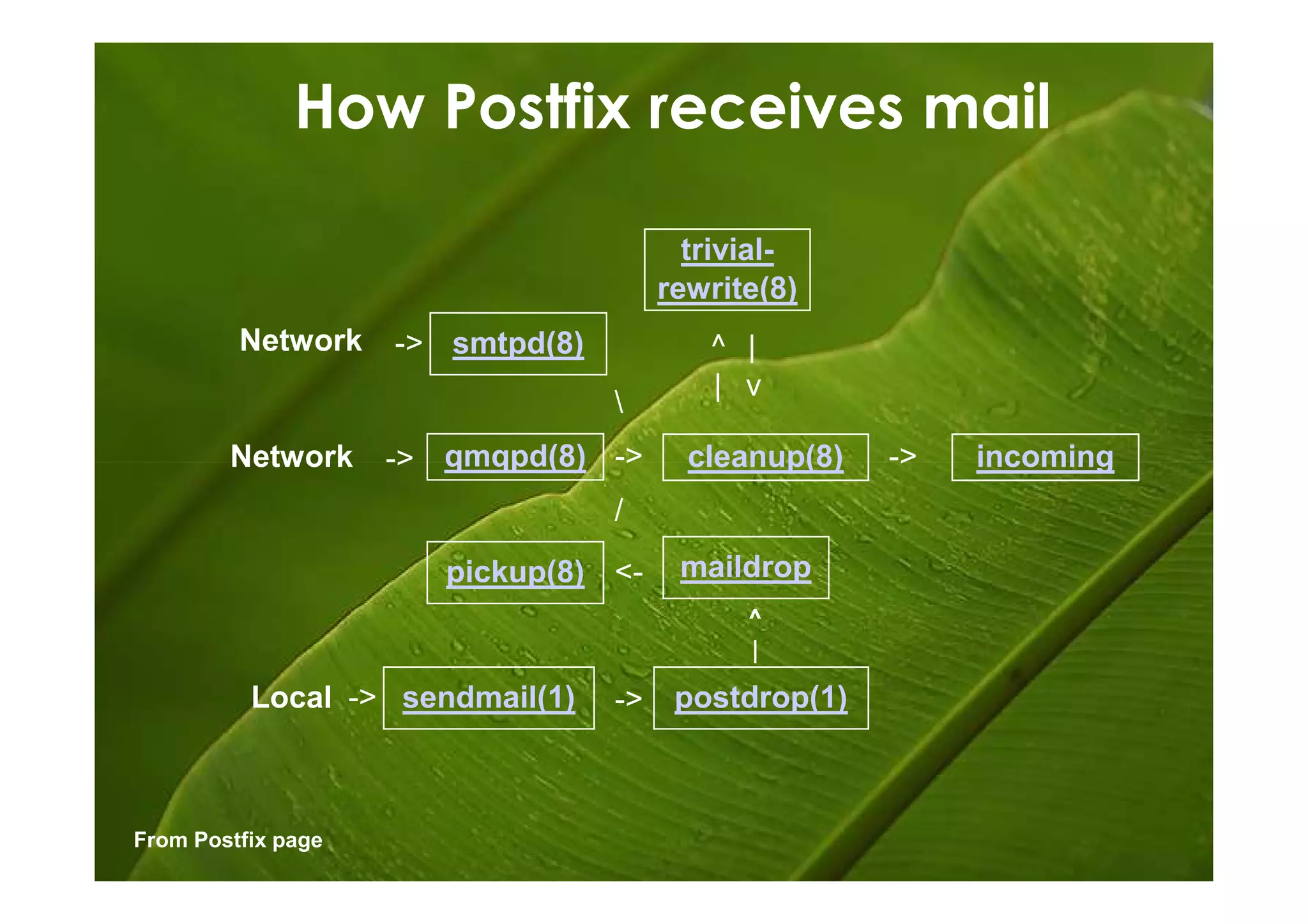 How Postfix receives mail

                                         trivial-
                                       rewrite(8)
         Network    -> smtpd(8)           ^ |
                                          | v
                                  
        Network     -> qmqpd(8) ->       cleanup(8)   ->   incoming
                                  /
                       pickup(8) <-     maildrop
                                             ^
                                             |
          Local -> sendmail(1)    ->    postdrop(1)



From Postfix page
 