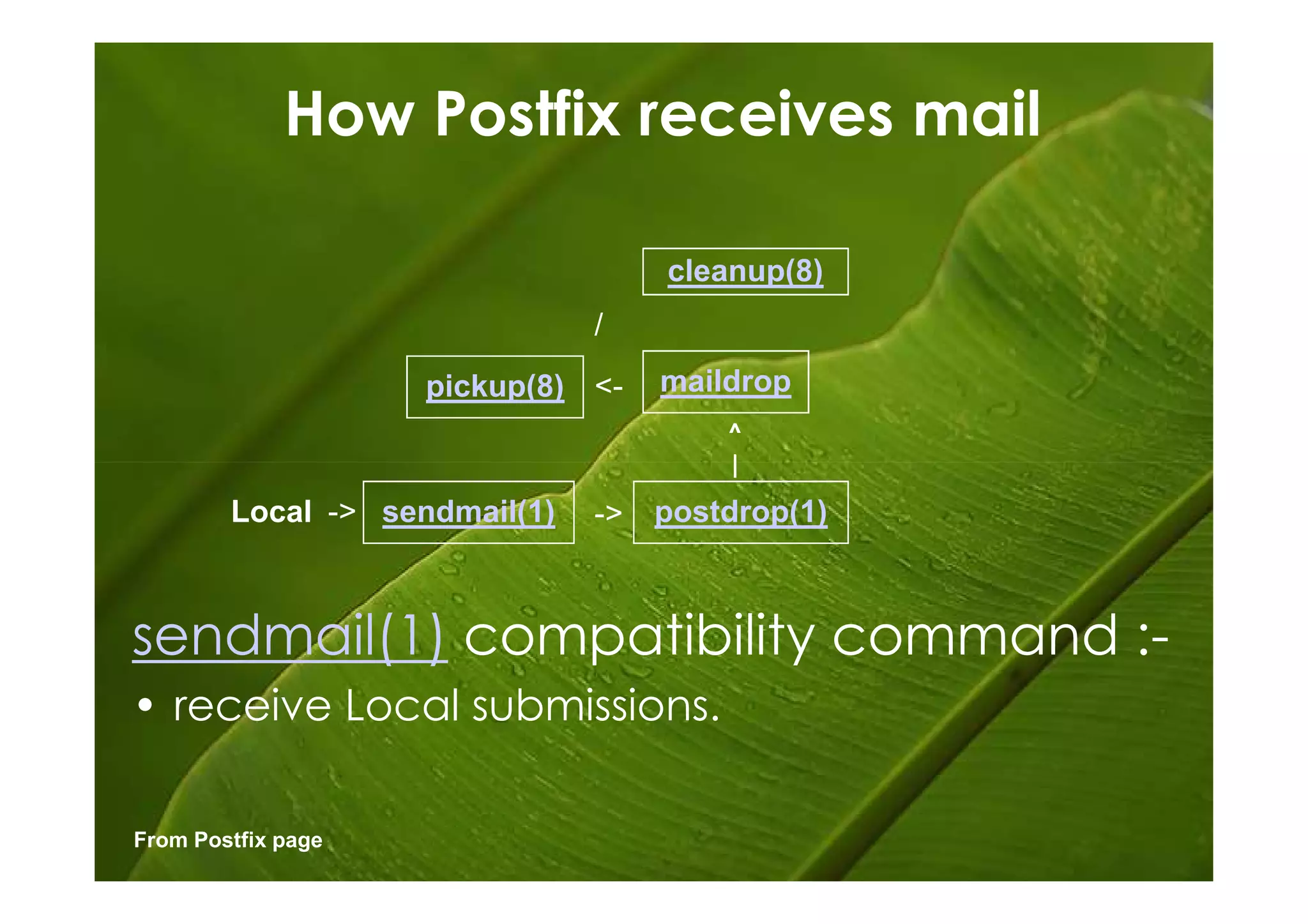 How Postfix receives mail

                                    cleanup(8)
                               /
                    pickup(8) <-    maildrop
                                        ^
                                        |
        Local -> sendmail(1)   ->   postdrop(1)



sendmail(1) compatibility command :-
• receive Local submissions.

From Postfix page
 