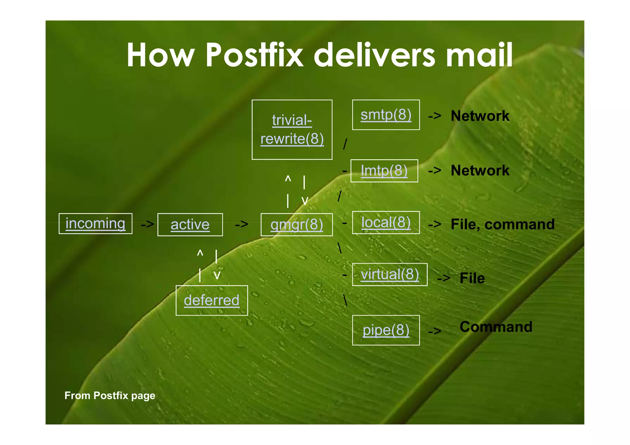 How Postfix delivers mail
                                    trivial-           smtp(8)    -> Network
                                  rewrite(8)       /
                                                   - lmtp(8)      -> Network
                                     ^ |
                                     | v       /
incoming      ->    active   ->    qmgr(8)         - local(8)     -> File, command

                       ^ |                     
                       | v                         - virtual(8)    -> File
                      deferred                     
                                                       pipe(8)    ->   Command



From Postfix page
 