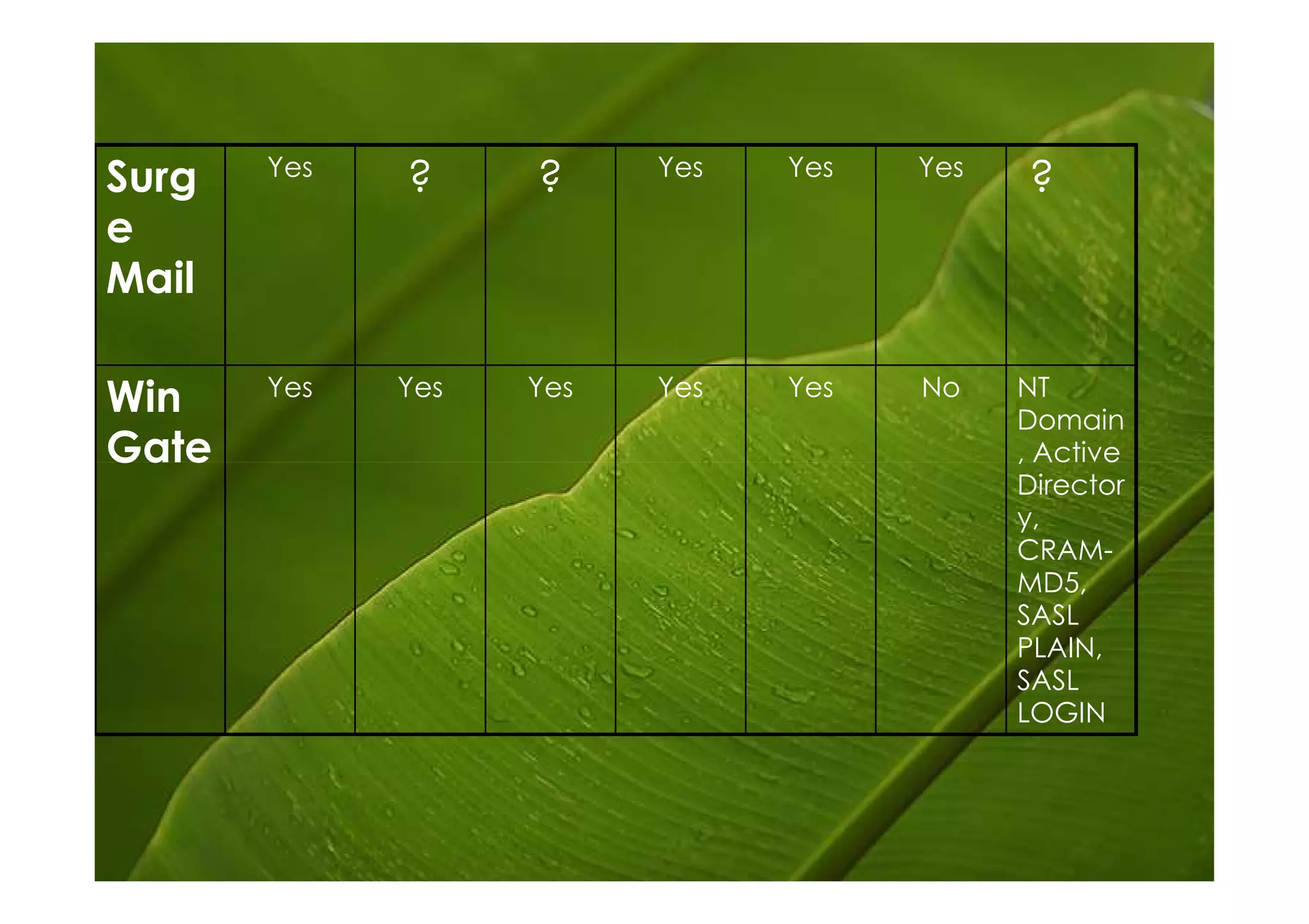 Yes               Yes   Yes   Yes
Surg         ?     ?                       ?
e
Mail

       Yes   Yes   Yes   Yes   Yes   No    NT
Win                                        Domain
Gate                                       , Active
                                           Director
                                           y,
                                           CRAM-
                                           MD5,
                                           SASL
                                           PLAIN,
                                           SASL
                                           LOGIN
 
