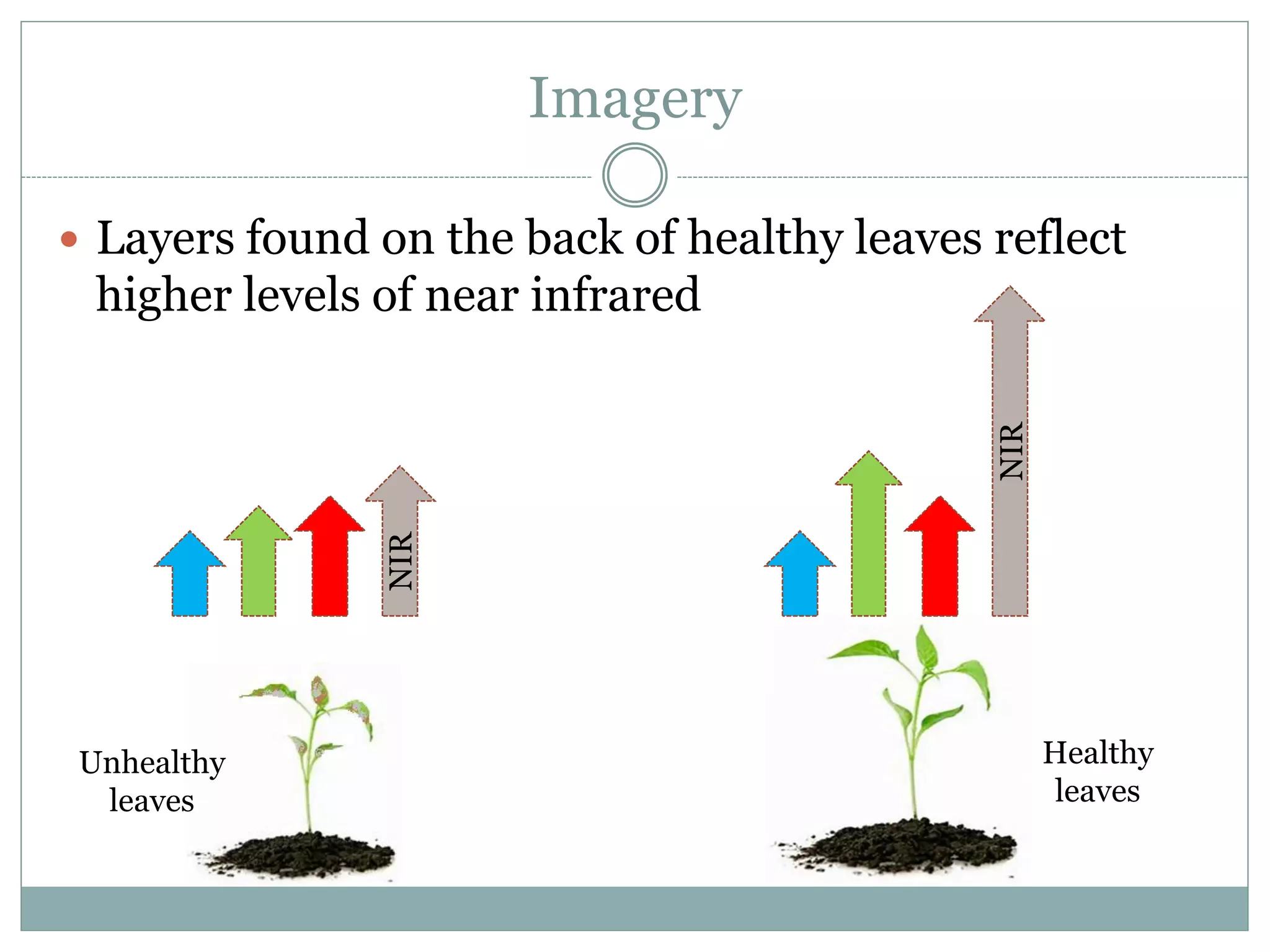 Imagery
 Layers found on the back of healthy leaves reflect
higher levels of near infrared
NIR
NIR
Unhealthy
leaves
Healthy
leaves
 