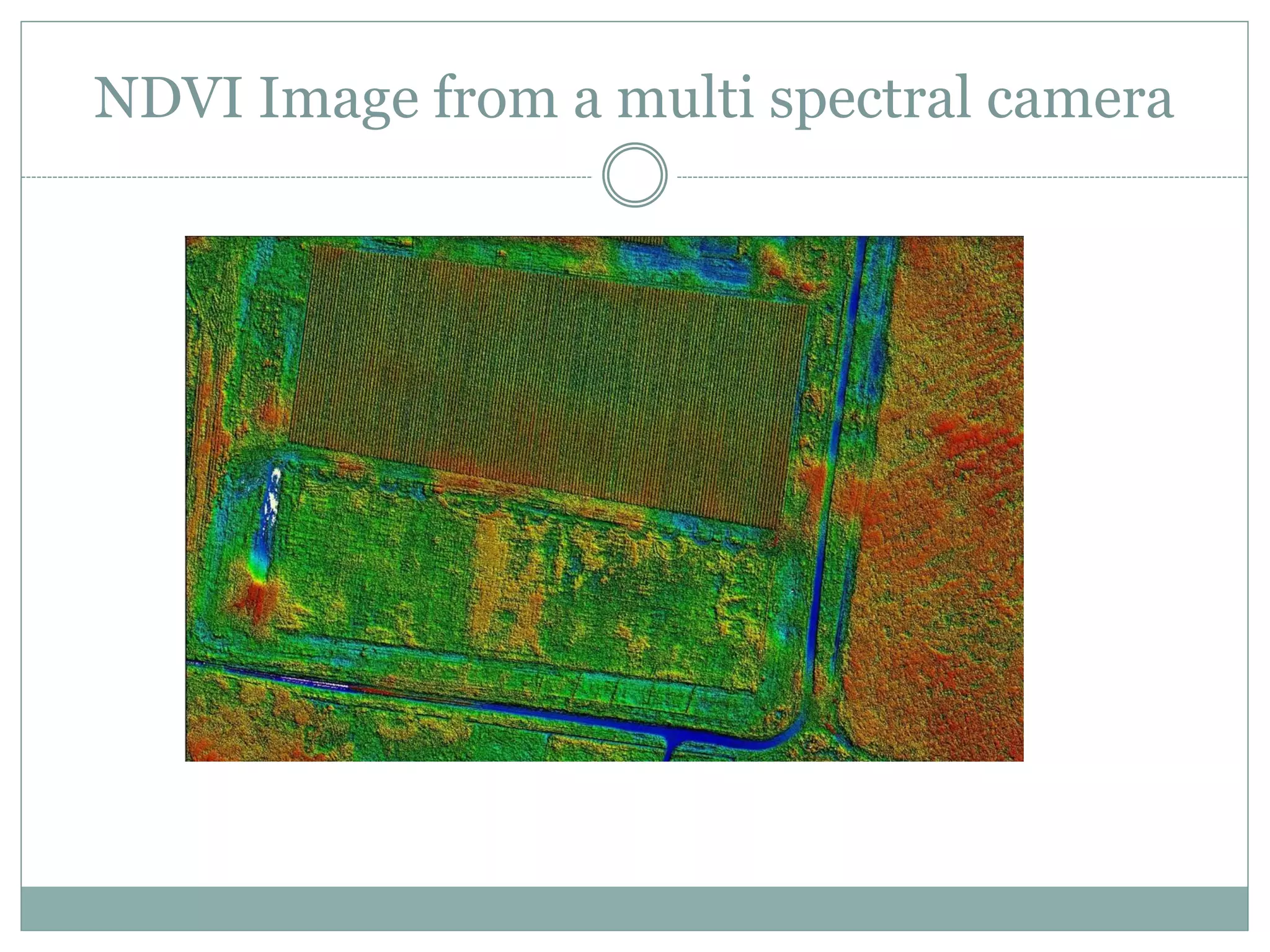 NDVI Image from a multi spectral camera
 