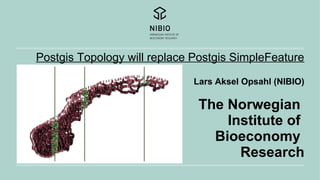 Postgis Topology will replace Postgis SimpleFeature
Lars Aksel Opsahl (NIBIO)
The Norwegian
Institute of
Bioeconomy
Research
 