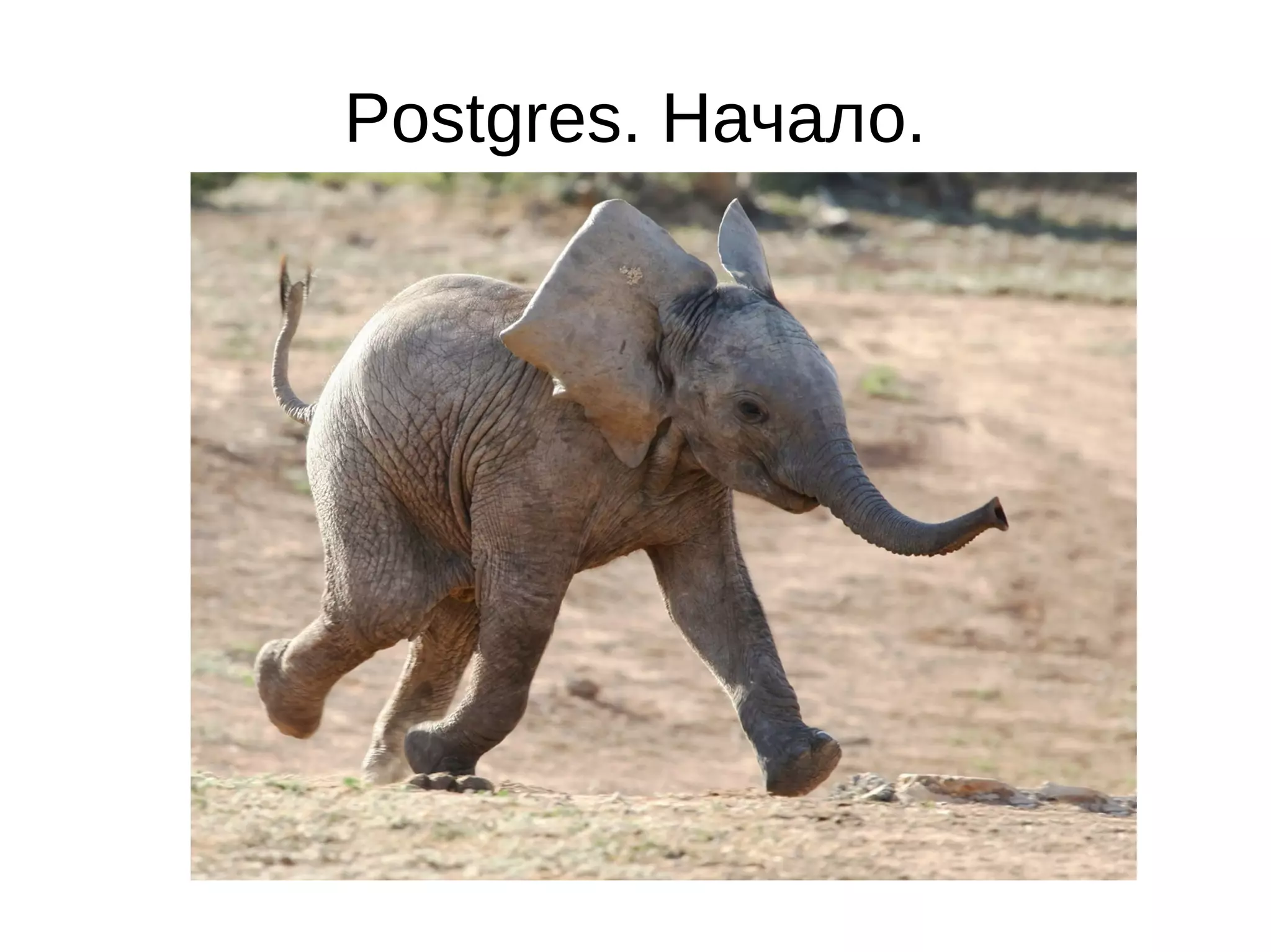 Postgres. Начало. 