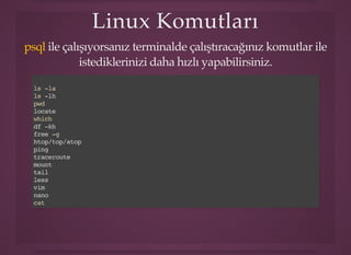 Linux KomutlarıLinux Komutları
ile çalışıyorsanız terminalde çalıştıracağınız komutlar ile
istediklerinizi daha hızlı yapabilirsiniz.
psql
ls -la
ls -lh
pwd
locate
which
df -kh
free -g
htop/top/atop
ping
traceroute
mount
tail
less
vim
nano
cat
scp
rsync
cp
mv
rm -rf
mkdir
 