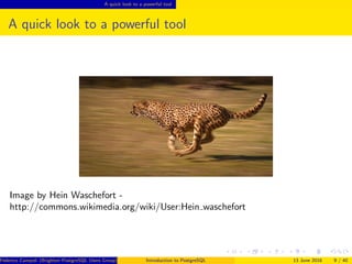 A quick look to a powerful tool
A quick look to a powerful tool
Image by Hein Waschefort -
http://commons.wikimedia.org/wiki/User:Hein waschefort
Federico Campoli (Brighton PostgreSQL Users Group) Introduction to PostgreSQL 13 June 2016 9 / 40
 