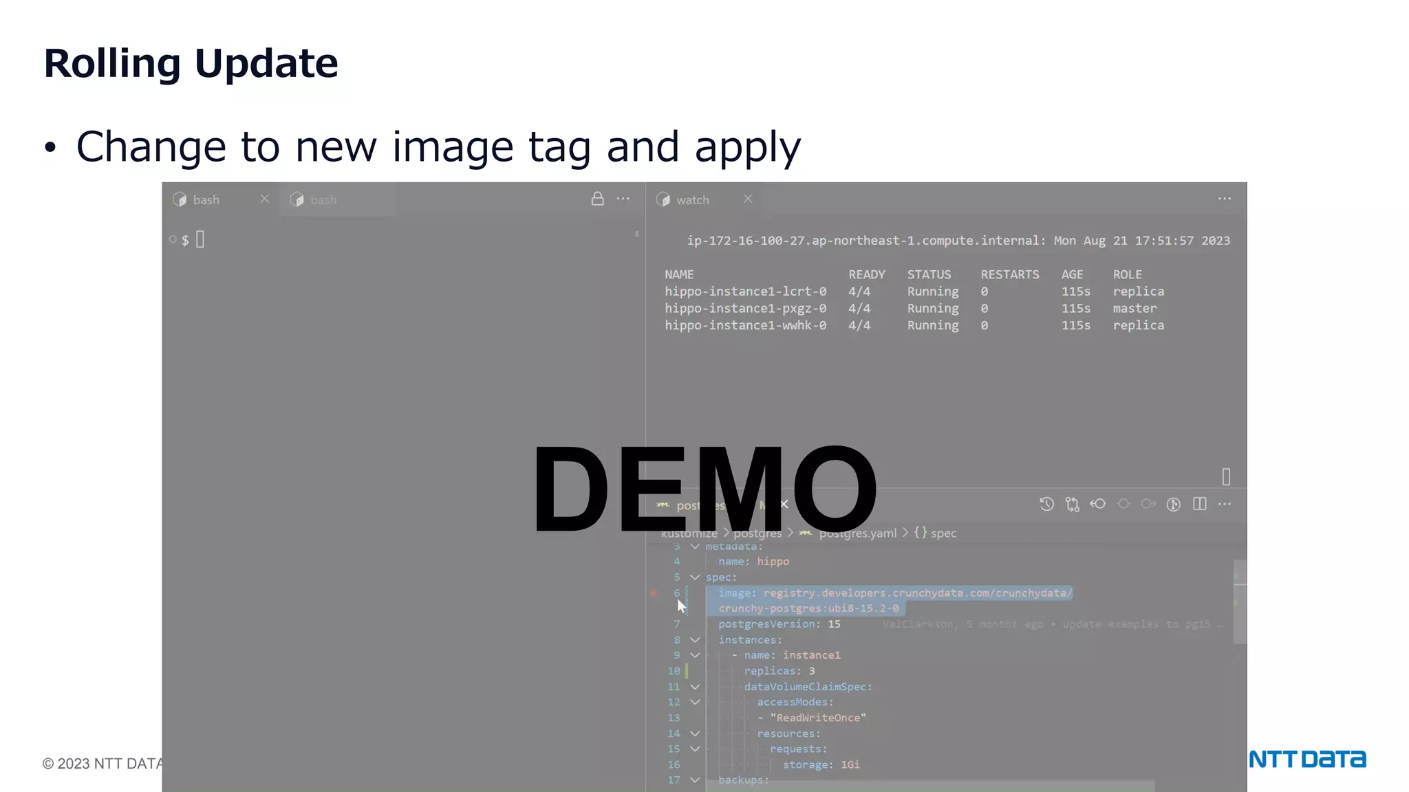 © 2023 NTT DATA Group Corporation 19 Rolling Update • Change to new image tag and apply DEMO 