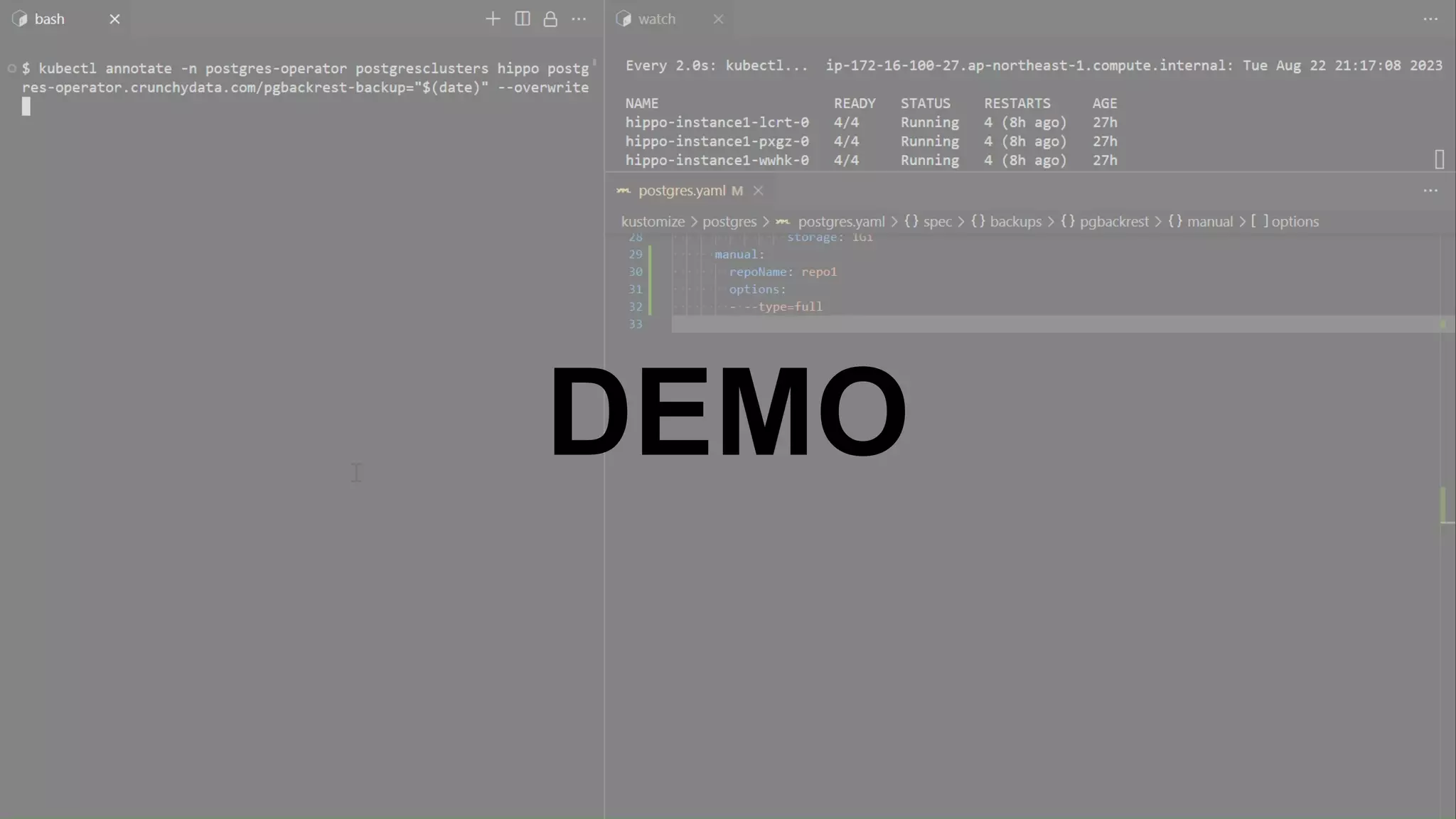 © 2023 NTT DATA Group Corporation 47 Manual backups DEMO 