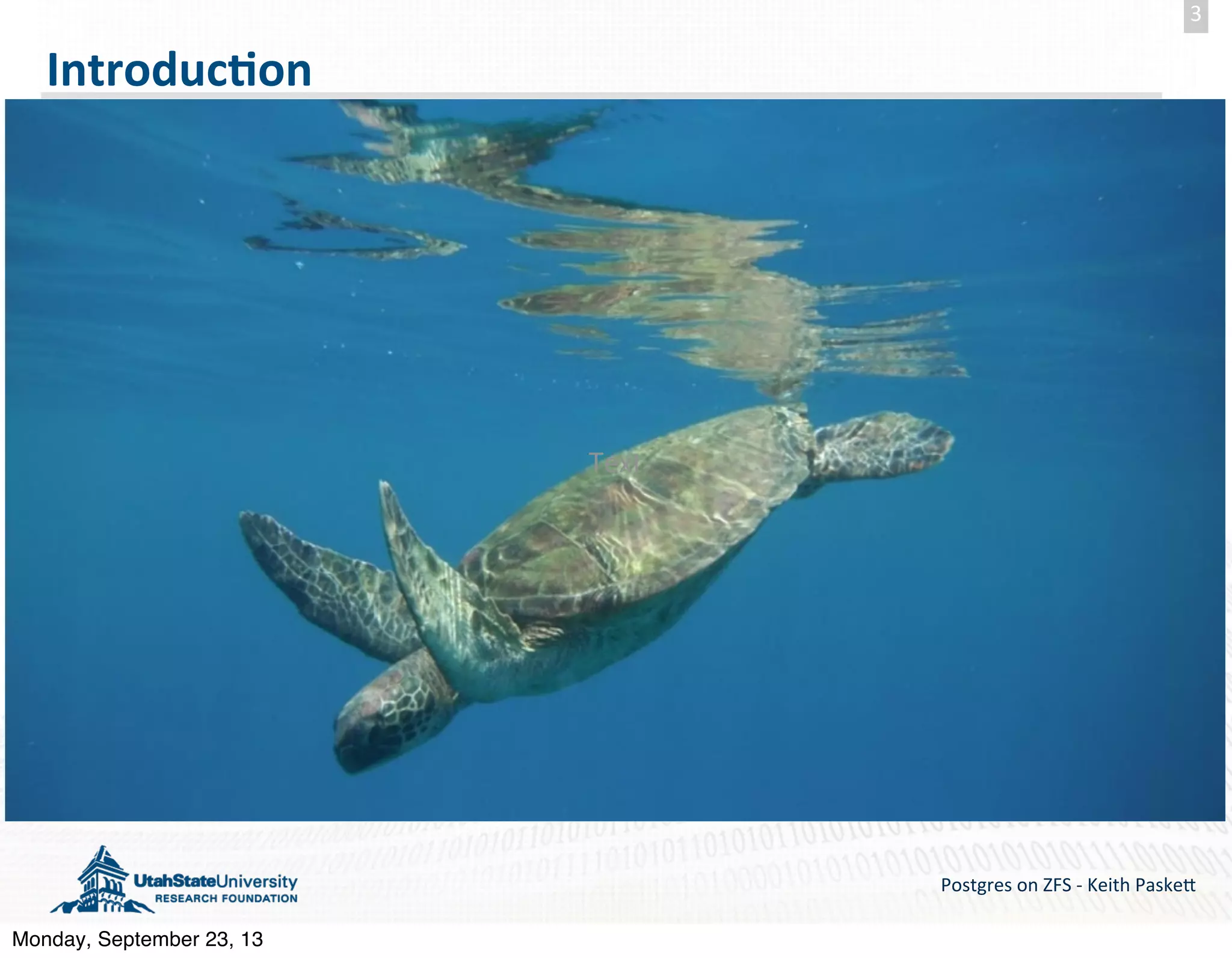 Introduc-on Postgres  on  ZFS  -­‐  Keith  Paske5 3 Text Monday, September 23, 13 