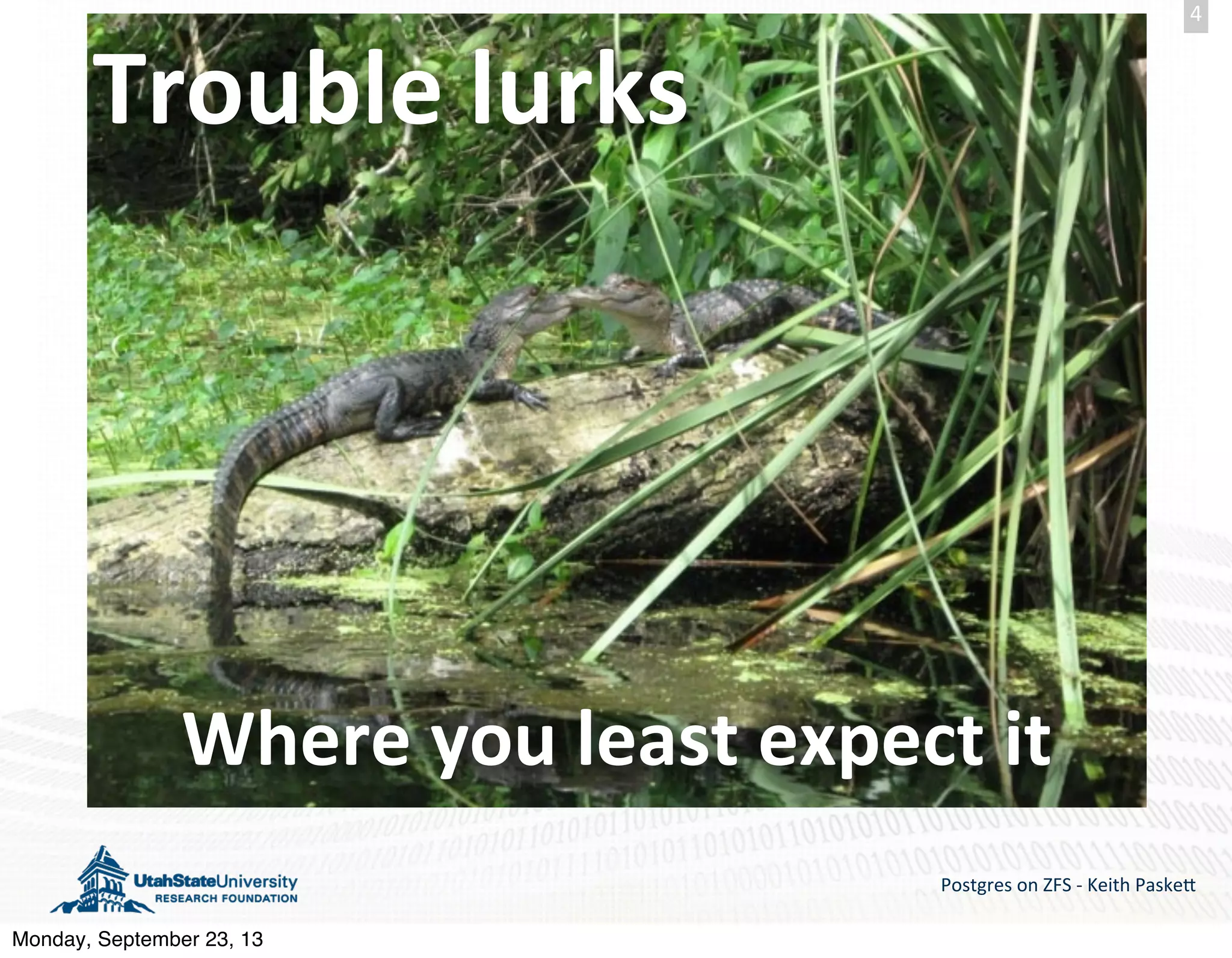 Postgres  on  ZFS  -­‐  Keith  Paske5 4 Trouble  lurks Where  you  least  expect  it Monday, September 23, 13 