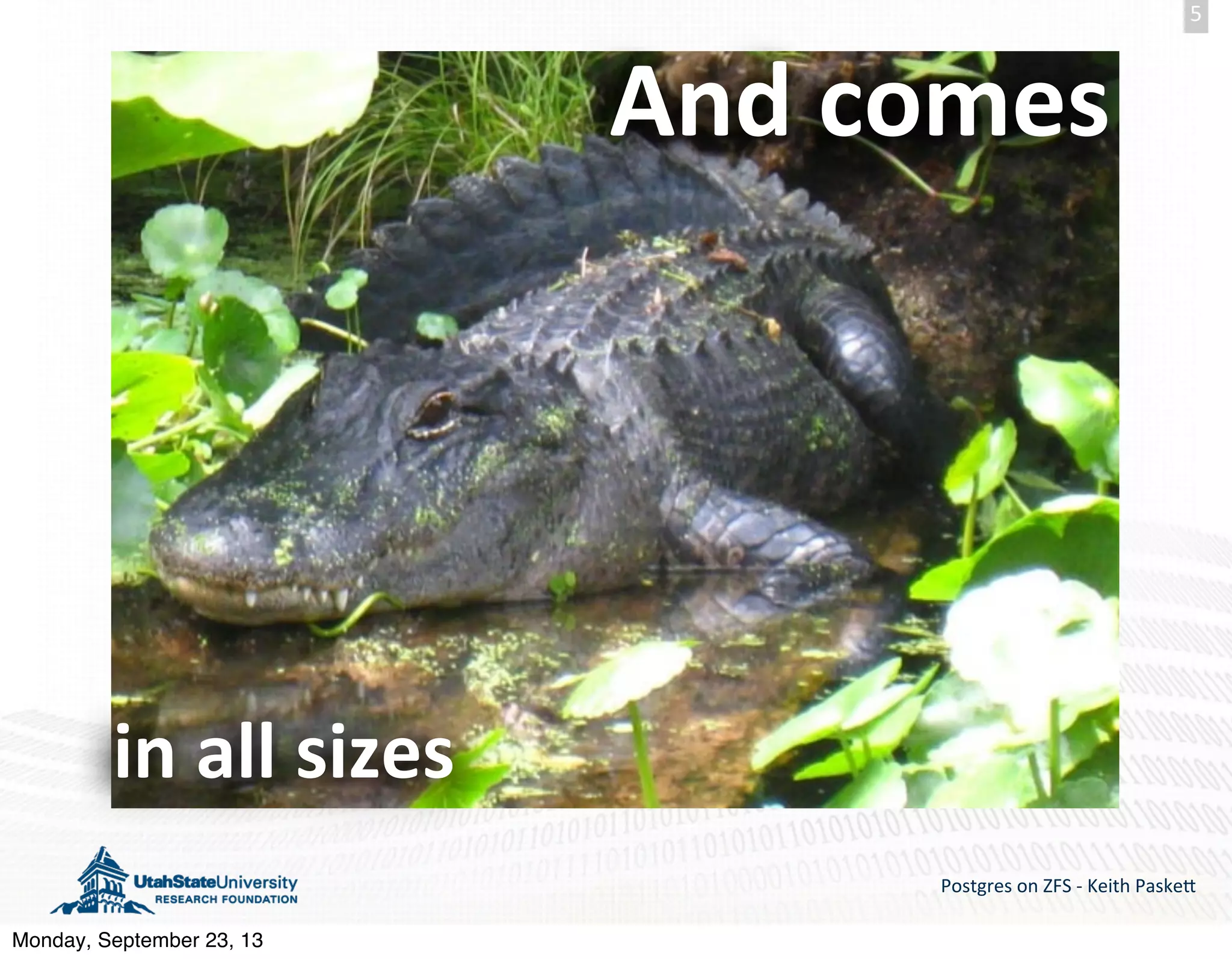 And  comes in  all  sizes Postgres  on  ZFS  -­‐  Keith  Paske5 5 Monday, September 23, 13 