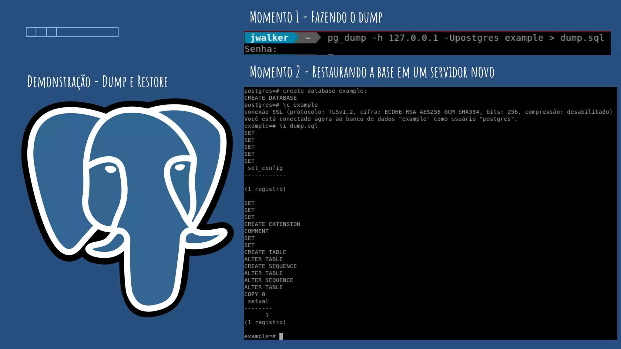 Demonstração - Dump e Restore
Momento 1 - Fazendo o dump
Momento 2 - Restaurando a base em um servidor novo
 