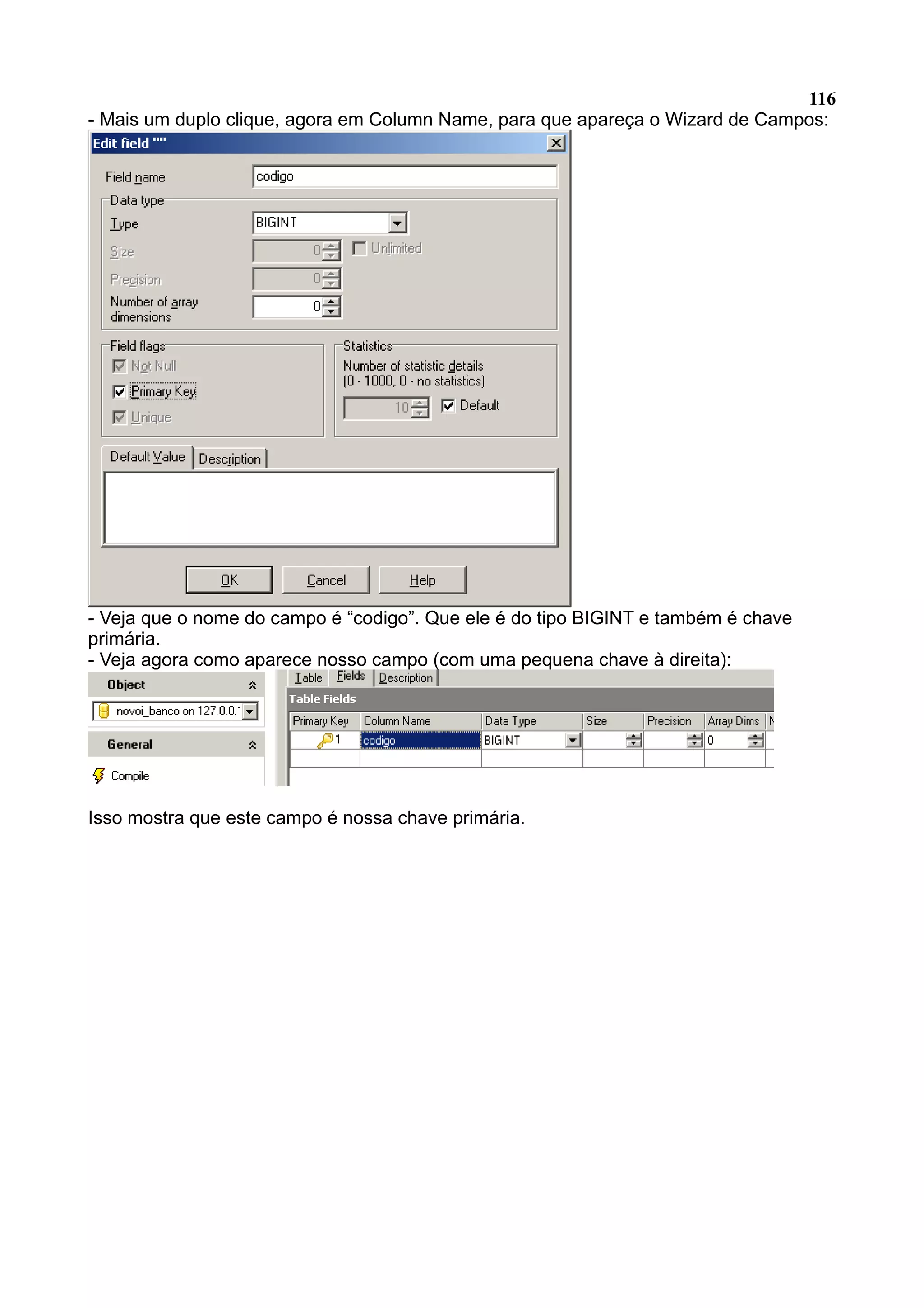 116 - Mais um duplo clique, agora em Column Name, para que apareça o Wizard de Campos: - Veja que o nome do campo é “codigo”. Que ele é do tipo BIGINT e também é chave primária. - Veja agora como aparece nosso campo (com uma pequena chave à direita): Isso mostra que este campo é nossa chave primária. 