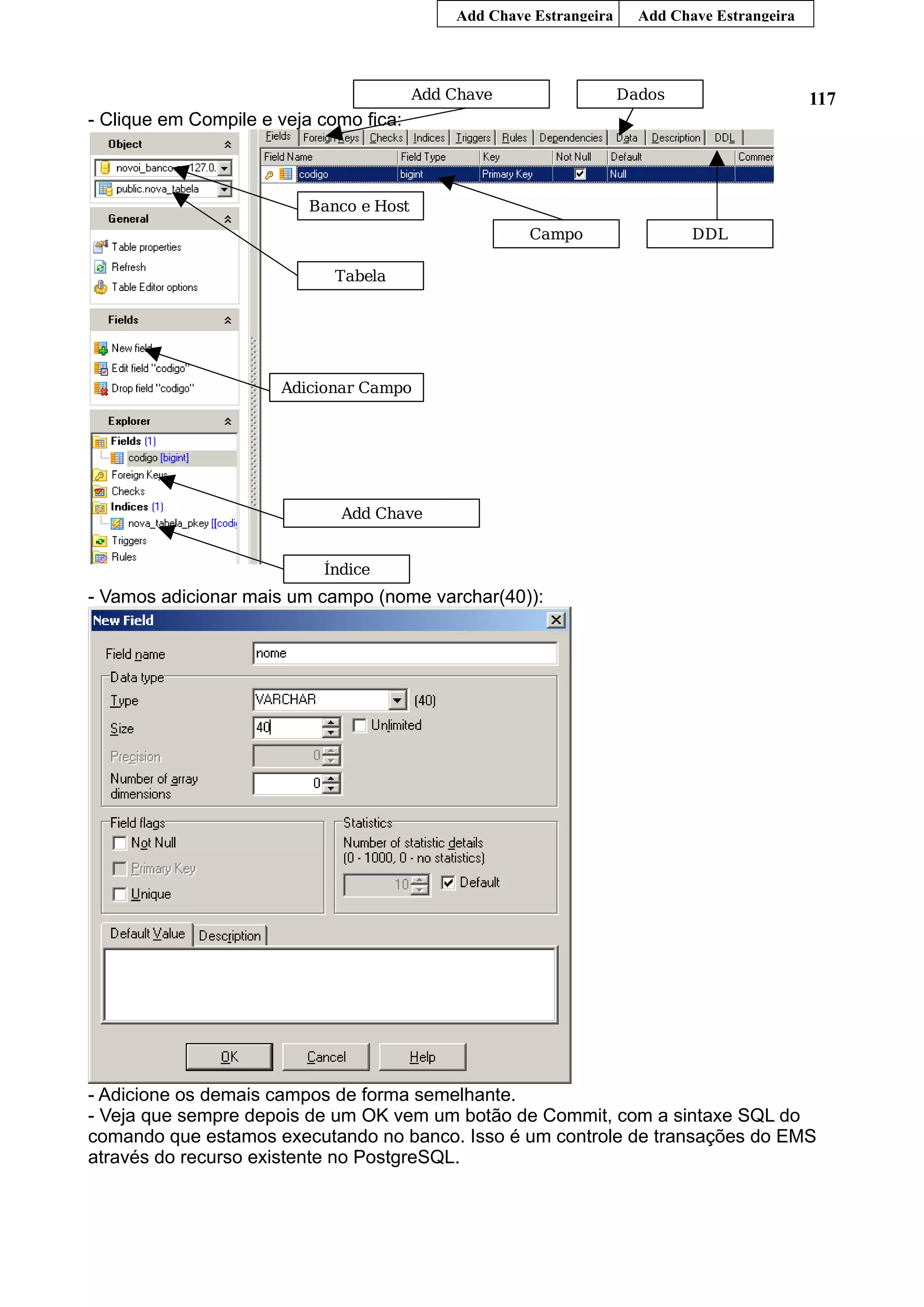 117 - Clique em Compile e veja como fica: - Vamos adicionar mais um campo (nome varchar(40)): - Adicione os demais campos de forma semelhante. - Veja que sempre depois de um OK vem um botão de Commit, com a sintaxe SQL do comando que estamos executando no banco. Isso é um controle de transações do EMS através do recurso existente no PostgreSQL. Add Chave Estrangeira Add Chave Estrangeira Banco e Host Tabela Adicionar Campo Add Chave Índice Campo Add Chave Dados DDL 
