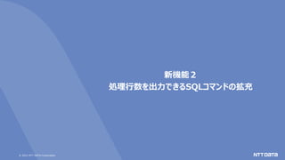 © 2021 NTT DATA Corporation
新機能２
処理行数を出力できるSQLコマンドの拡充
 