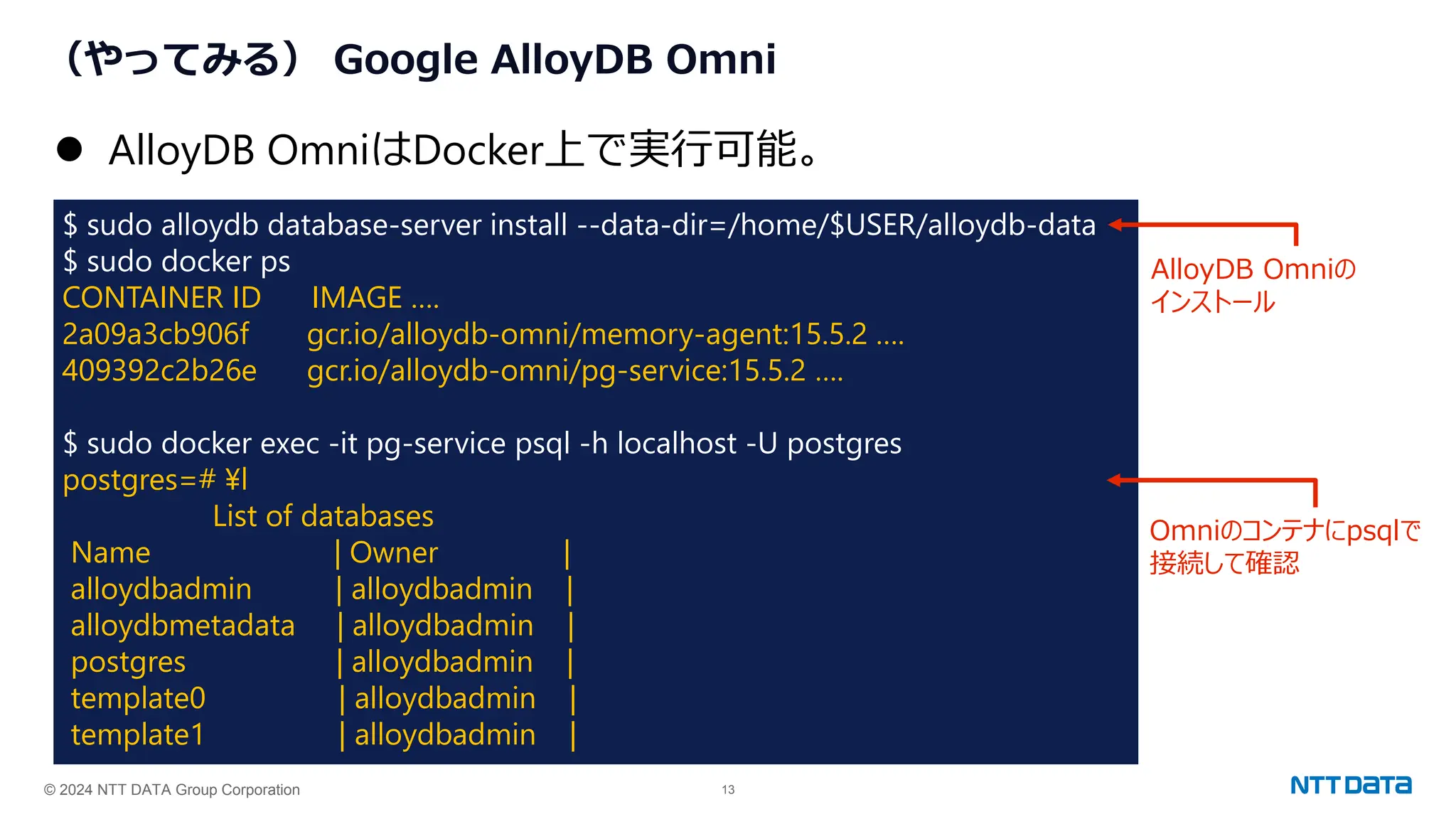 © 2024 NTT DATA Group Corporation 13
（やってみる） Google AlloyDB Omni
⚫ AlloyDB OmniはDocker上で実行可能。
$ sudo alloydb database-server install --data-dir=/home/$USER/alloydb-data
$ sudo docker ps
CONTAINER ID IMAGE ….
2a09a3cb906f gcr.io/alloydb-omni/memory-agent:15.5.2 ….
409392c2b26e gcr.io/alloydb-omni/pg-service:15.5.2 ….
$ sudo docker exec -it pg-service psql -h localhost -U postgres
postgres=# ¥l
List of databases
Name | Owner |
alloydbadmin | alloydbadmin |
alloydbmetadata | alloydbadmin |
postgres | alloydbadmin |
template0 | alloydbadmin |
template1 | alloydbadmin |
AlloyDB Omniの
インストール
Omniのコンテナにpsqlで
接続して確認
 