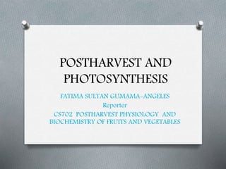 POSTHARVEST AND
PHOTOSYNTHESIS
FATIMA SULTAN GUMAMA-ANGELES
Reporter
CS702 POSTHARVEST PHYSIOLOGY AND
BIOCHEMISTRY OF FRUITS AND VEGETABLES
 