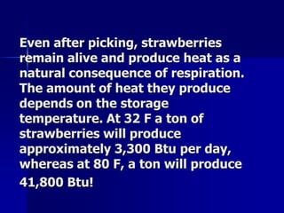 Even after picking, strawberries
remain alive and produce heat as a
natural consequence of respiration.
The amount of heat they produce
depends on the storage
temperature. At 32 F a ton of
strawberries will produce
approximately 3,300 Btu per day,
whereas at 80 F, a ton will produce
41,800 Btu!
 
