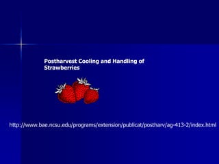Postharvest Cooling and Handling of
             Strawberries




http://www.bae.ncsu.edu/programs/extension/publicat/postharv/ag-413-2/index.html
 