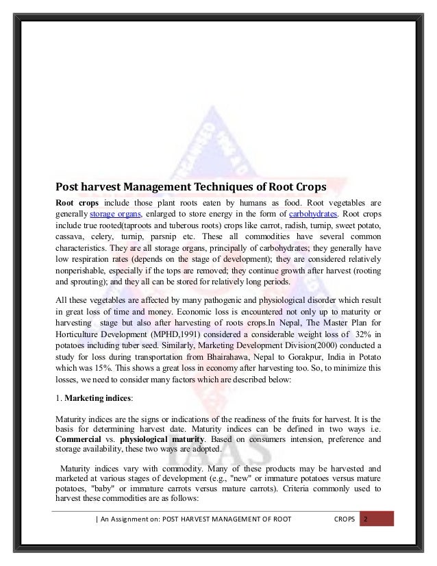 Narrative Essays Examples For High School What Is A Editorial Essay Editorial A Modest Proposal Ideas For Essays also Essay Writing For High School Students Systematisches Probieren Beispiel Essay Informative Synthesis Essay