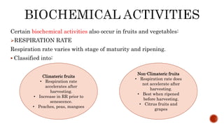 Postharvest changes in fruits and vegetables