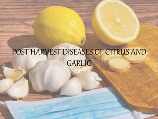 POST HARVEST DISEASES OF CITRUS AND
GARLIC
 