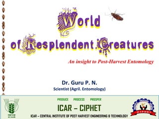 An insight to Post-Harvest Entomology
Dr. Guru P. N.
Scientist (Agril. Entomology)
 