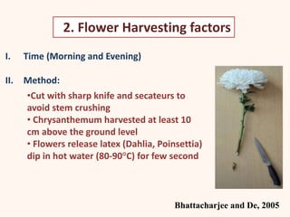 I. Time (Morning and Evening)
II. Method:
2. Flower Harvesting factors
Bhattacharjee and De, 2005
•Cut with sharp knife and secateurs to
avoid stem crushing
• Chrysanthemum harvested at least 10
cm above the ground level
• Flowers release latex (Dahlia, Poinsettia)
dip in hot water (80-90°C) for few second
 