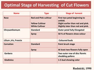 Optimal Stage of Harvesting of Cut Flowers
Name Type Stage of harvest
Rose Red and Pink cultivar
Yellow Cultivar
White Cultivar
First two petal beginning to
unfold.
Slight earlier than red and pink.
Slightly later than red and pink.
Chrysanthemum Standard Outer petal fully Elongated
Spray 50 % of flowers show colour
Lilium ,Iris, Freesia Coloured buds
Carnation Standard
Spray
Paint brush stage
At least two flowers fully open
Gerbera Two outer row of disc florets
shedding pollens
Gladiolus 1-5 bud showing color
Rudnicki, 1990
 