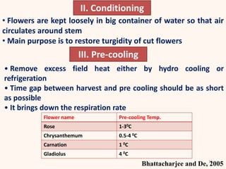 16
• Flowers are kept loosely in big container of water so that air
circulates around stem
• Main purpose is to restore turgidity of cut flowers
II. Conditioning
III. Pre-cooling
• Remove excess field heat either by hydro cooling or
refrigeration
• Time gap between harvest and pre cooling should be as short
as possible
• It brings down the respiration rate
Flower name Pre-cooling Temp.
Rose 1-30C
Chrysanthemum 0.5-4 0C
Carnation 1 0C
Gladiolus 4 0C
Bhattacharjee and De, 2005
 