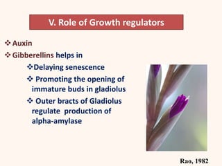 V. Role of Growth regulators
Auxin
Gibberellins helps in
Delaying senescence
 Promoting the opening of
immature buds in gladiolus
 Outer bracts of Gladiolus
regulate production of
alpha-amylase
Rao, 1982
 