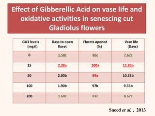21
Effect of Gibberellic Acid on vase life and
oxidative activities in senescing cut
Gladiolus flowers
Saeed et al. , 2013
GA3 levels
(mg/l)
Days to open
floret
Florets opened
(%)
Vase life
(Days)
0 1.58c 86c 7.67c
25 2.28a 100a 11.83a
50 2.00b 99a 10.33b
100 1.90b 97b 9.33b
200 1.60c 87c 8.67c
 