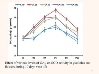 22
Effect of various levels of GA3 on SOD activity in gladiolus cut
flowers during 10 days vase life
 