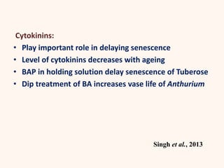 Cytokinins:
• Play important role in delaying senescence
• Level of cytokinins decreases with ageing
• BAP in holding solution delay senescence of Tuberose
• Dip treatment of BA increases vase life of Anthurium
Singh et al., 2013
 