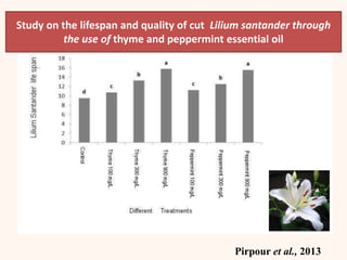 Study on the lifespan and quality of cut Lilium santander through
the use of thyme and peppermint essential oil
Pirpour et al., 2013
 