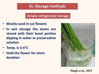 • Mostly used in cut flowers
• In wet storage the stems are
stored with their basal portion
dipping in water or preservative
solution
• Temp. is 2-4°C
• Hold the flower for short
duration
Simple refrigerated storage
VI. Storage methods
Singh et al., 2013
 