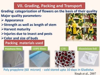VII. Grading, Packing and Transport
Grading: categorization of flowers on the basis of their quality
Major quality parameters-
 Appearance
Strength as well as length of stem
Harvest maturity
Injuries due to insect and pests
Color and size of buds
Polythene films LDPE films CFB Aluminium foil
Packing materials used
Poly propylene (60 micron) - cold stored upto 10 days in Gladiolus
Singh et al., 2007
 