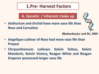 A. Genetic / inherent make up
• Anthurium and Orchid have more vase life than
Rose and Carnation
• Angelique cultivar of Rose had more vase life than
Preyasi
• Chrysanthemum cultivars Kelvin Tattoo, Kelvin
Mandarin, Kelvin Victory, Reagan White and Reagan
Emperor possessed longer vase life
Bhattacharjee and De, 2005
1.Pre- Harvest Factors
 
