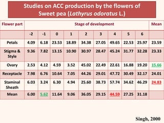 Studies on ACC production by the flowers of
Sweet pea (Lathyrus odoratus L.)
Flower part Stage of development Mean
-2 -1 0 1 2 3 4 5 6
Petals 4.09 6.18 23.53 18.89 34.38 27.05 49.65 22.53 25.97 23.59
Stigma &
Style
9.36 7.82 13.15 10.90 30.97 28.47 45.24 31.77 32.28 23.33
Ovary 2.53 4.12 4.59 3.52 45.02 22.49 22.61 16.88 19.20 15.66
Receptacle 7.98 6.76 10.64 7.05 44.26 29.01 47.72 30.49 32.17 24.01
Staminal
Sheath
6.03 3.24 6.30 4.94 25.60 38.73 57.74 34.62 46.29 24.83
Mean 6.00 5.62 11.64 9.06 36.05 29.15 44.59 27.25 31.18
Singh, 2000
 