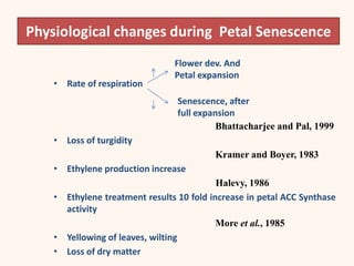 Physiological changes during Petal Senescence
• Rate of respiration
Bhattacharjee and Pal, 1999
• Loss of turgidity
Kramer and Boyer, 1983
• Ethylene production increase
Halevy, 1986
• Ethylene treatment results 10 fold increase in petal ACC Synthase
activity
More et al., 1985
• Yellowing of leaves, wilting
• Loss of dry matter
Flower dev. And
Petal expansion
Senescence, after
full expansion
 