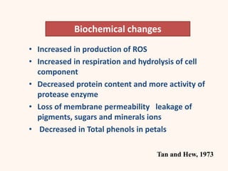 • Increased in production of ROS
• Increased in respiration and hydrolysis of cell
component
• Decreased protein content and more activity of
protease enzyme
• Loss of membrane permeability leakage of
pigments, sugars and minerals ions
• Decreased in Total phenols in petals
Tan and Hew, 1973
Biochemical changes
 
