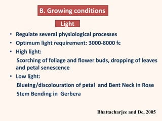 Light
• Regulate several physiological processes
• Optimum light requirement: 3000-8000 fc
• High light:
Scorching of foliage and flower buds, dropping of leaves
and petal senescence
• Low light:
Blueing/discolouration of petal and Bent Neck in Rose
Stem Bending in Gerbera
B. Growing conditions
Bhattacharjee and De, 2005
 
