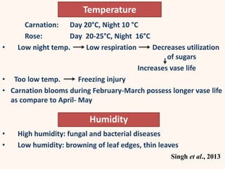 Temperature
Carnation: Day 20°C, Night 10 °C
Rose: Day 20-25°C, Night 16°C
• Low night temp. Low respiration Decreases utilization
of sugars
Increases vase life
• Too low temp. Freezing injury
• Carnation blooms during February-March possess longer vase life
as compare to April- May
• High humidity: fungal and bacterial diseases
• Low humidity: browning of leaf edges, thin leaves
Singh et al., 2013
Humidity
 