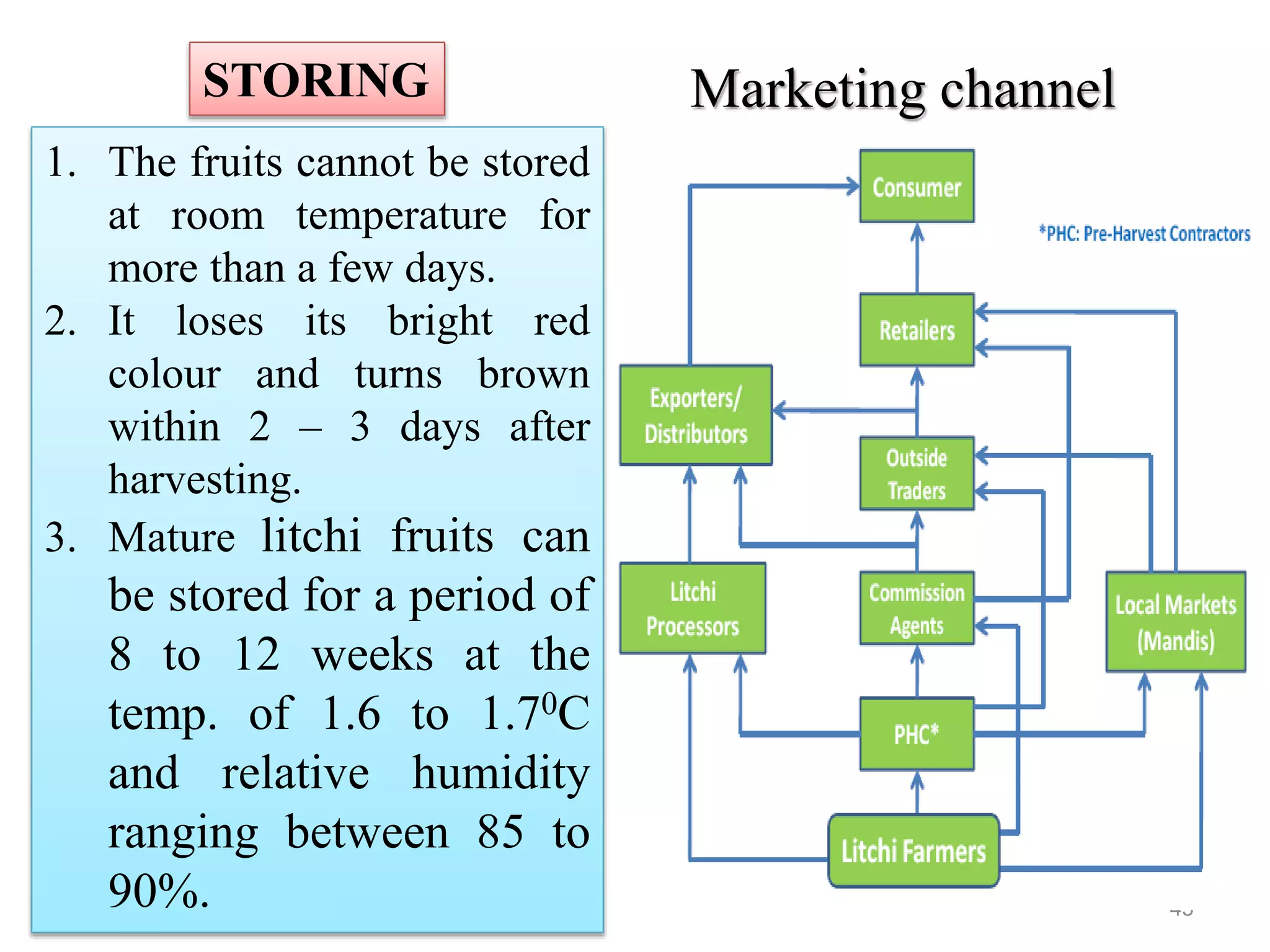 Post harvest handling/ management of litchi | PPTX