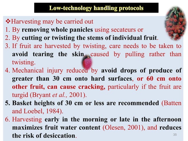 Post harvest handling/ management of litchi | PPTX