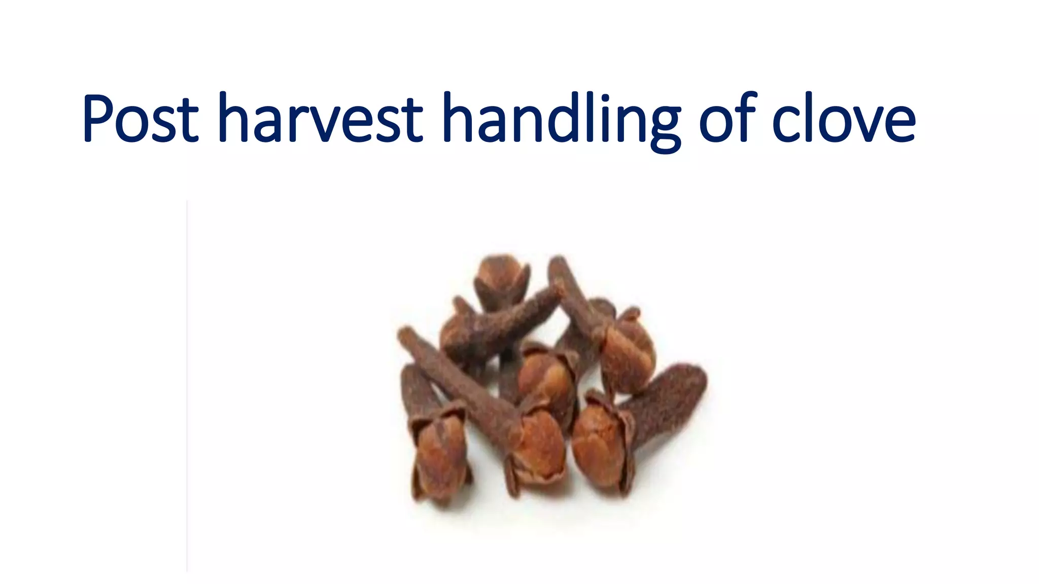 Post harvest handling of clove | PPT