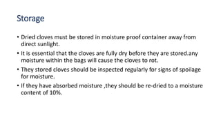 Post harvest handling of clove | PPT